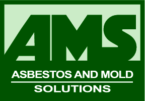 asbestos and mold solutions logo